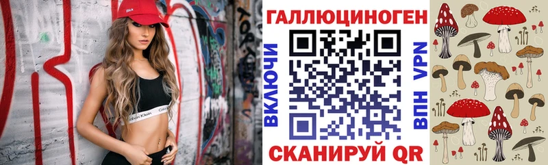 omg ссылки  Бердск  Галлюциногенные грибы Magic Shrooms 