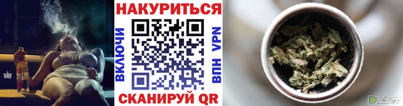где продают наркотики  Бердск  OMG   Шишки марихуана семена 